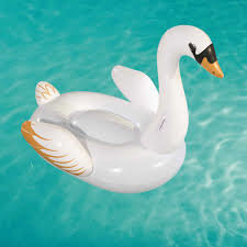 Piepūšamais plosts Bestway Luxury Swan, 169x169 cm cena un informācija | Piepūšamās rotaļlietas un pludmales preces | 220.lv