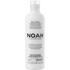 Питательный бальзам, облегчающий расчесывание волос Noah Nourishing Conditioner With Mango and Rice Proteins 250 мл цена и информация | Бальзамы, кондиционеры | 220.lv