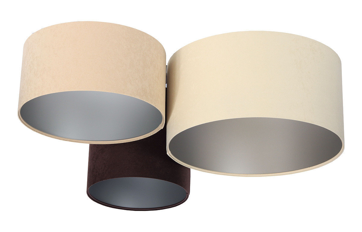 Lampa Trio BPS Koncept 080-01-028 cena un informācija | Griestu lampas | 220.lv