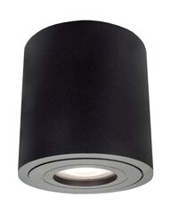 Light Prestige потолочный светильник Faro XXL цена и информация | Потолочный светильник | 220.lv
