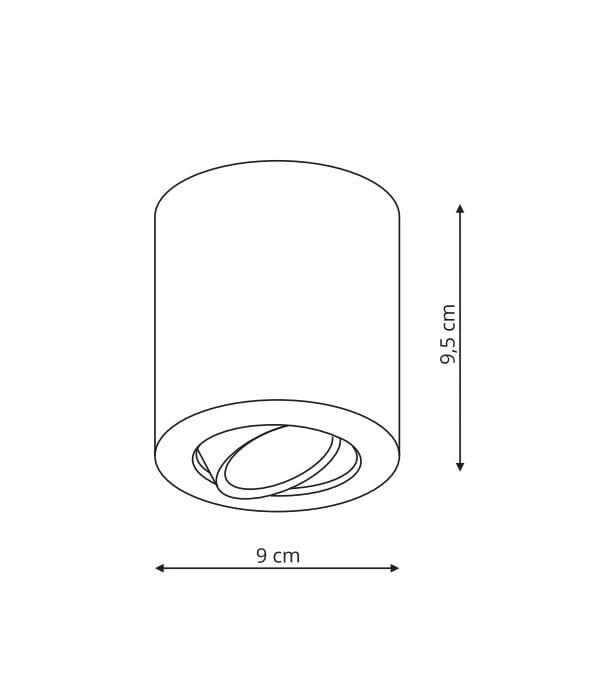 Light Prestige griestu lampa Tulon cena un informācija | Griestu lampas | 220.lv