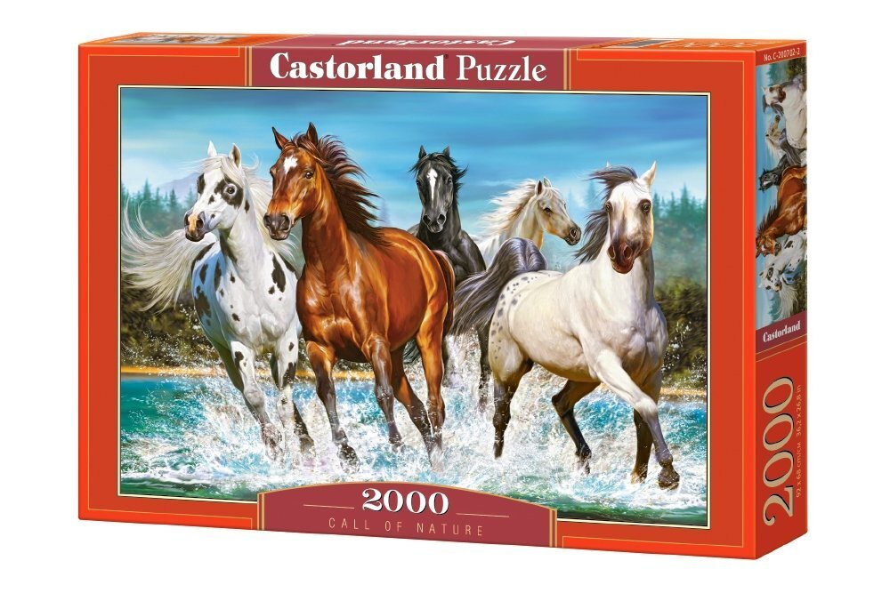Castorland puzle Call of Nature, 2000 detaļu cena un informācija | Puzles, 3D puzles | 220.lv
