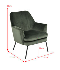 Кресло Actona Chisa Vic, розовое/черное цена и информация | Кресла в гостиную | 220.lv