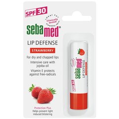 Бальзам для губ с клубникой Sebamed Sensitive Skin Lip Defense SPF30 4.8 г цена и информация | Помады, бальзамы, блеск для губ | 220.lv