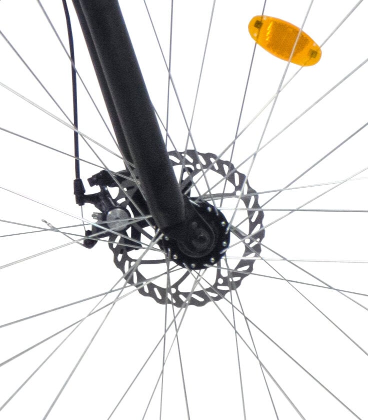 Kalnu velosipēds Bottari Cortina 29”, dzeltens cena un informācija | Velosipēdi | 220.lv
