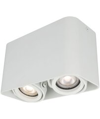 Light Prestige griestu lampa Merano 2 цена и информация | Потолочные светильники | 220.lv