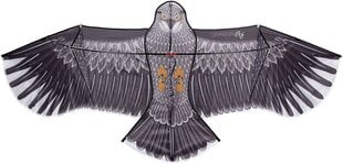 Pūķis Dragon Fly Eagle cena un informācija | Gaisa pūķi | 220.lv