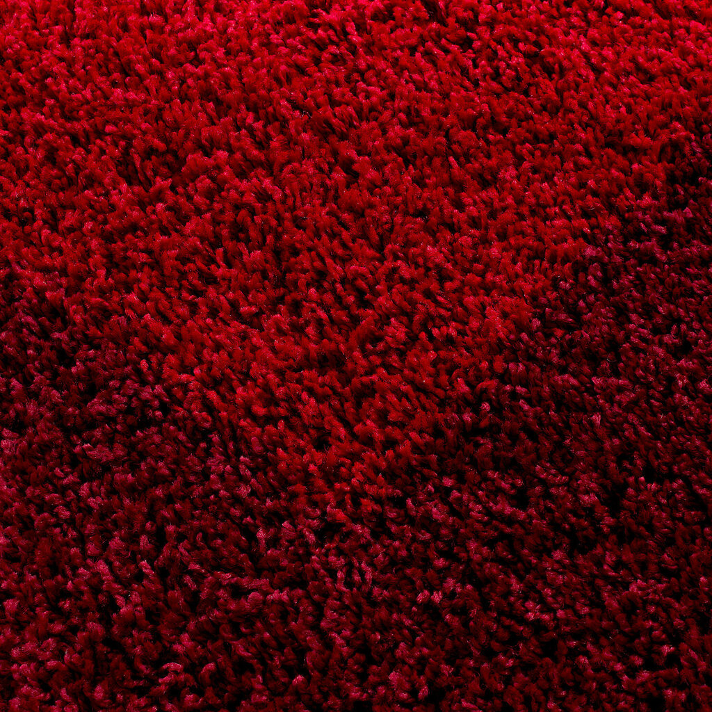 Ayyildiz paklājs LIFE sarkans, 80X150 cm цена и информация | Paklāji | 220.lv