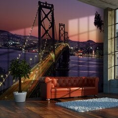 Фотообои - очаровательный вечер в Сан-Франциско цена и информация | Фотообои | 220.lv