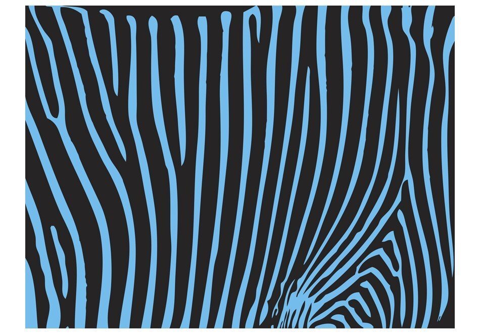 Fototapetes - Zebras raksti (tirkīza) cena un informācija | Fototapetes | 220.lv