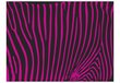 Fototapetes - Zebras raksti (violeti) cena un informācija | Fototapetes | 220.lv
