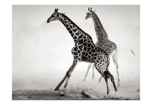 Fototapetai - Žirafes cena un informācija | Fototapetes | 220.lv