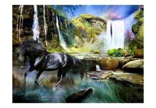 Фотообои - Лошадь на фоне водопада цена и информация | Фотообои | 220.lv