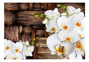 Фотообои - Цветущие орхидеи цена и информация | Фотообои | 220.lv