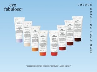 Кондиционер для поддержки цвета волос EVO Caramel Fabuloso 220 мл цена и информация | Бальзамы, кондиционеры | 220.lv