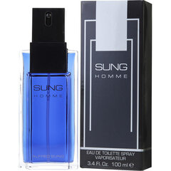 Tualetes ūdens Alfred Sung Sung Homme EDT vīriešiem 100 ml cena un informācija | Vīriešu smaržas | 220.lv