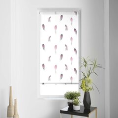 Рулонные шторы Plumala, 60 x 180 см цена и информация | Рулонные шторы | 220.lv