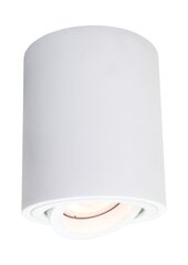 Light Prestige griestu lampa Tulon цена и информация | Потолочные светильники | 220.lv