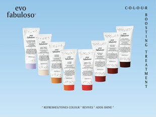 Кондиционер для поддержки цвета волос EVO Mahogany Fabuloso 220 мл цена и информация | Бальзамы, кондиционеры | 220.lv