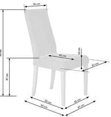 Комплект 2-х стульев Halmar Diego, цвет серый/дуб цена и информация | Стулья для кухни и столовой | 220.lv