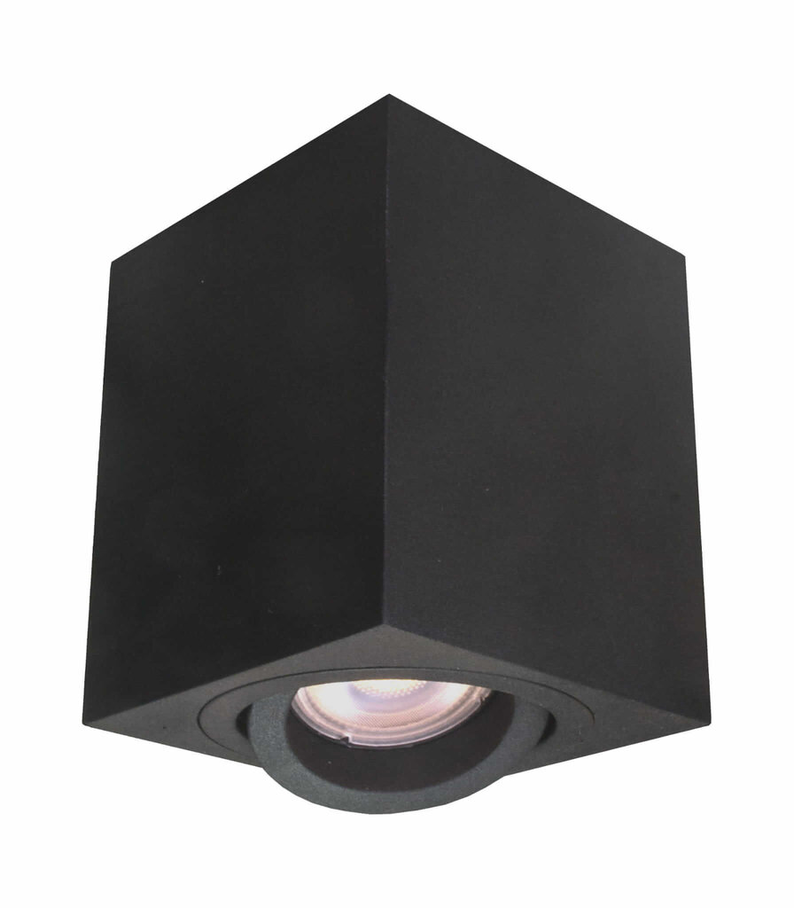 Light Prestige griestu lampa Lyon 1 cena un informācija | Griestu lampas | 220.lv