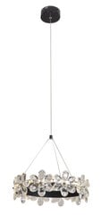 Candellux подвесной светильник Arvin цена и информация | Настенный/подвесной светильник Eye Spot 11 BL, чёрный | 220.lv