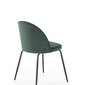 2-u krēslu komplekts K314, zaļš/melns cena un informācija | Virtuves un ēdamistabas krēsli | 220.lv