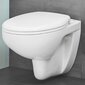 WC komplekts Grohe Bau Ceramic Rimless 39586000: montāžas rāmis + pods + poda vāks + poga cena un informācija | Tualetes podi | 220.lv