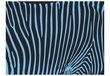 Fototapetes - Zebras raksti (tirkīza) cena un informācija | Fototapetes | 220.lv