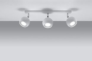 Sollux lampa Oculare 3 цена и информация | Потолочные светильники | 220.lv