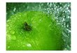 Fototapetes - Zaļais ābols cena un informācija | Fototapetes | 220.lv