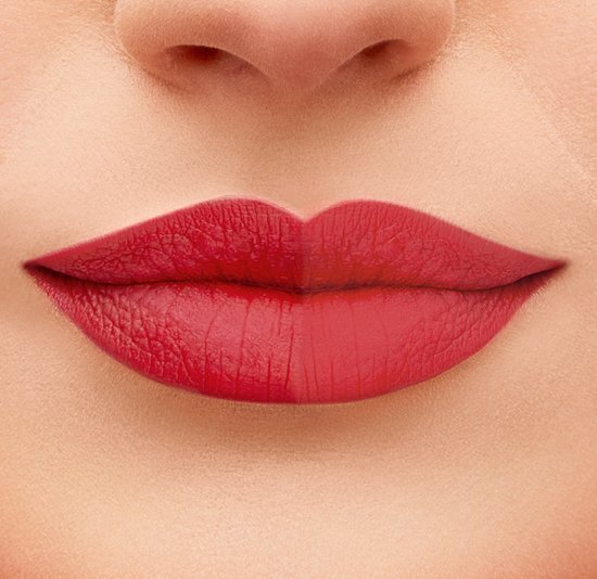 Lūpu krāsas augšējais slānis - spīdums Bourjois Paris Fabuleux Lip Transformer 6 ml, 01 Matte цена и информация | Lūpu krāsas, balzāmi, spīdumi, vazelīns | 220.lv