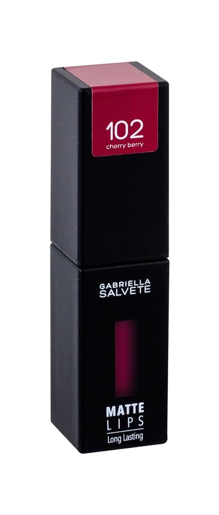 Lūpu krāsa Gabriella Salvete Matte Lips 4.5 ml, 102 Cherry Berry cena un informācija | Lūpu krāsas, balzāmi, spīdumi, vazelīns | 220.lv