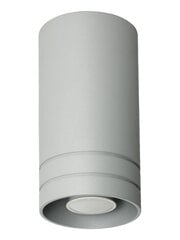 Lampex светильник Simon цена и информация | Потолочные светильники | 220.lv