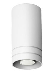 Lampex светильник Simon цена и информация | Потолочный светильник | 220.lv