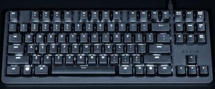 Клавиатура BlackWidow Lite, Orange Switch, Black, US цена и информация | Клавиатуры | 220.lv