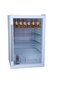 Guzzanti GZ-117A cena un informācija | Vīna ledusskapji | 220.lv