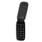 Evelatus Wave Dual SIM Black цена и информация | Mobilie telefoni | 220.lv