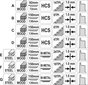 Rezerves asmeņi zāģim, elektriskajam, lineārajam finierzāģim, komplektā 7 gab., Sthor 27850 цена и информация | Rokas instrumenti | 220.lv