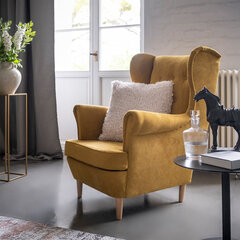 Кресло Aros, желтый цена и информация | Кресла в гостиную | 220.lv