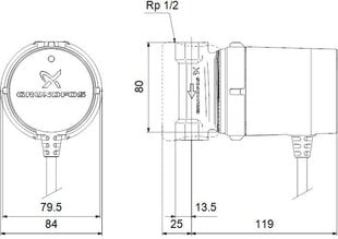 Cirkulācijas sūknis Grundfos Comfort 15-14 B PM цена и информация | Насосы для чистой воды | 220.lv