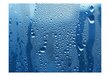 Fototapetes - Ūdens pilieni uz zilas zāles cena un informācija | Fototapetes | 220.lv