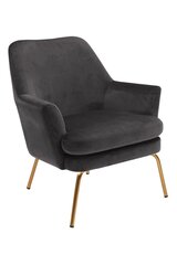 Кресло Chisa, темно-серое цена и информация | Кресла в гостиную | 220.lv