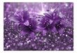 Fototapetes - Violetais šedevrs cena un informācija | Fototapetes | 220.lv