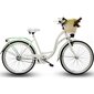 Sieviešu pilsētas velosipēds Goetze Blueberry Nexus 3 26", balts/zaļš цена и информация | Velosipēdi | 220.lv