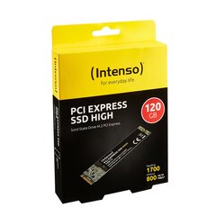 Intenso SSD PCI Express 120GB цена и информация | Внутренние жёсткие диски (HDD, SSD, Hybrid) | 220.lv