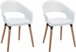 2 krēslu komplekts Alto, balts cena un informācija | Virtuves un ēdamistabas krēsli | 220.lv