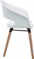 2 krēslu komplekts Alto, balts cena un informācija | Virtuves un ēdamistabas krēsli | 220.lv
