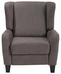 Кресло Aladdin, серое цена и информация | Кресла в гостиную | 220.lv