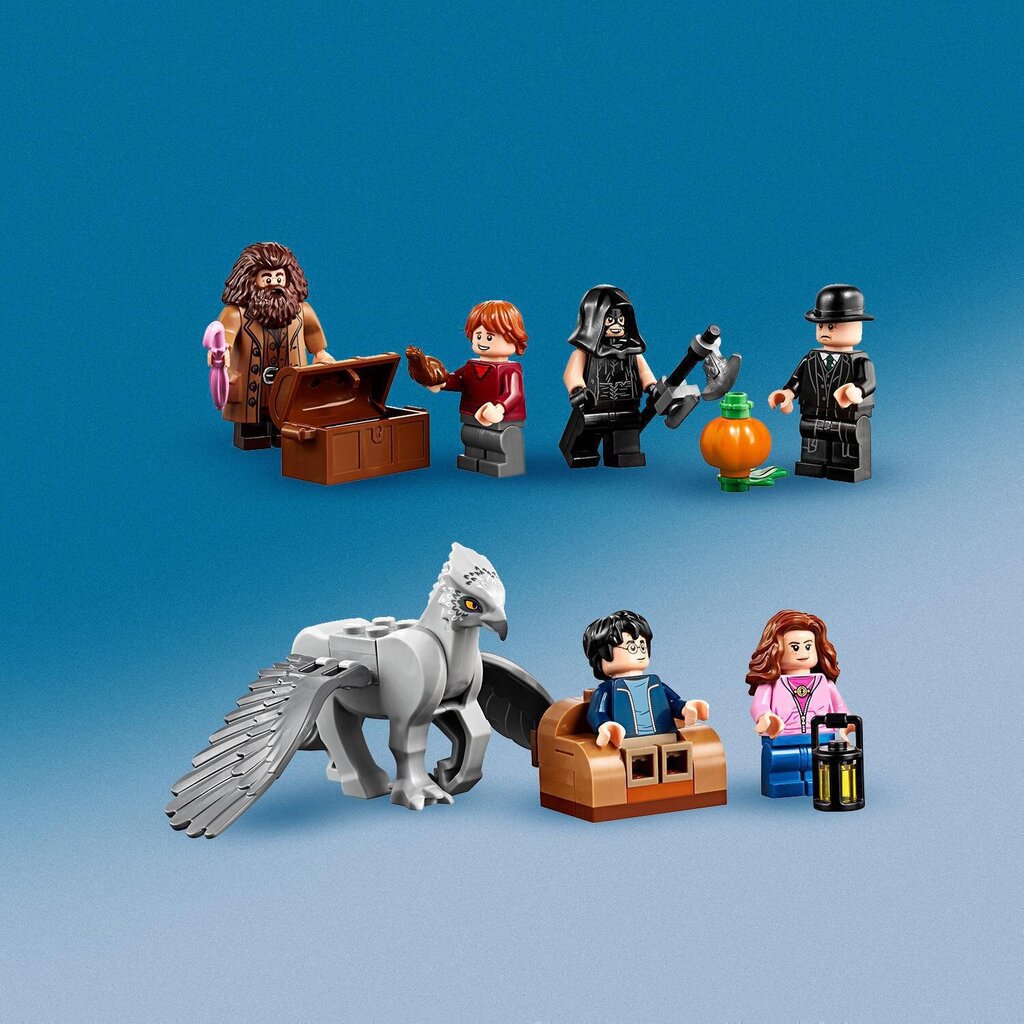 75947 LEGO® Harry Potter хижина Хагрида: спасение Клювокрыла цена | 220.lv